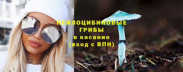соль ск Медногорск