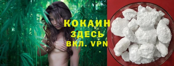 не бодяженный Магас