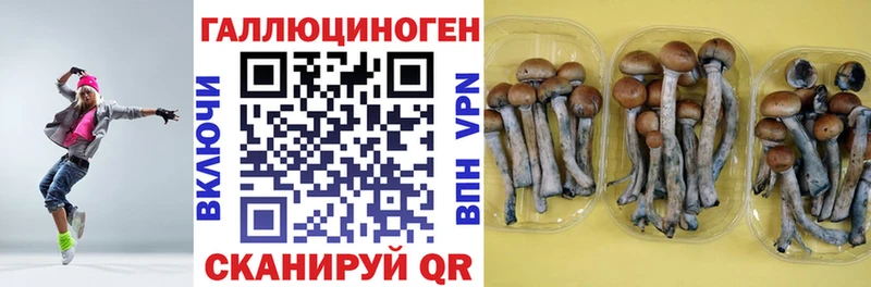 Псилоцибиновые грибы мухоморы  Купить закладки  Красный Кут 