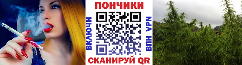 Купить где  Красный Кут  Каннабис ГИДРОПОН 